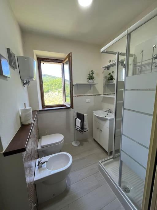 Appartement Costa Del Sole 42 à Cetona Extérieur photo